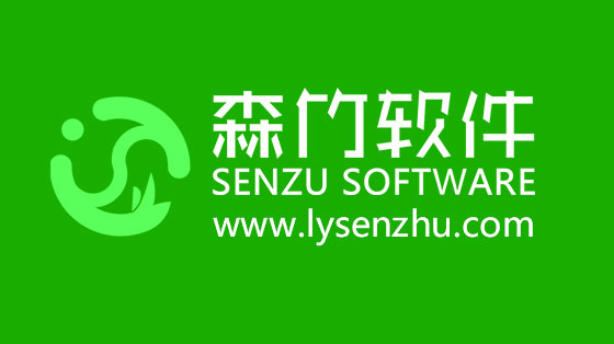 選擇森竹軟件服務，開發(fā)少走很多彎路！